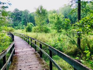 Newman Wetlands Center in Hampton, Ga