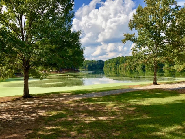 Lake Shamrock in Clayton County